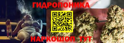 гидропоника Будённовск