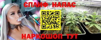 гидропоника Будённовск