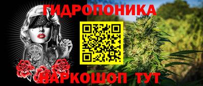 гидропоника Будённовск
