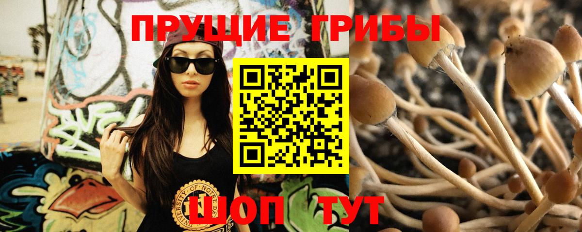 Нальчик  Псилоцибиновые грибы Magic Shrooms  Вход с VPN 